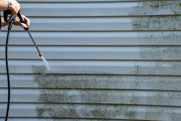 Best Storm Damage Siding Repair  in Oriole Beach, FL